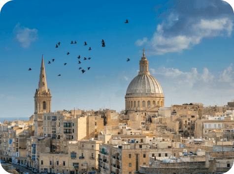 Malta Şirket Türleri